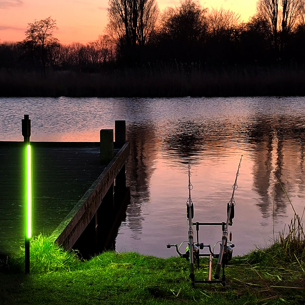 FishSense - LumiCatch Support BuzzOff