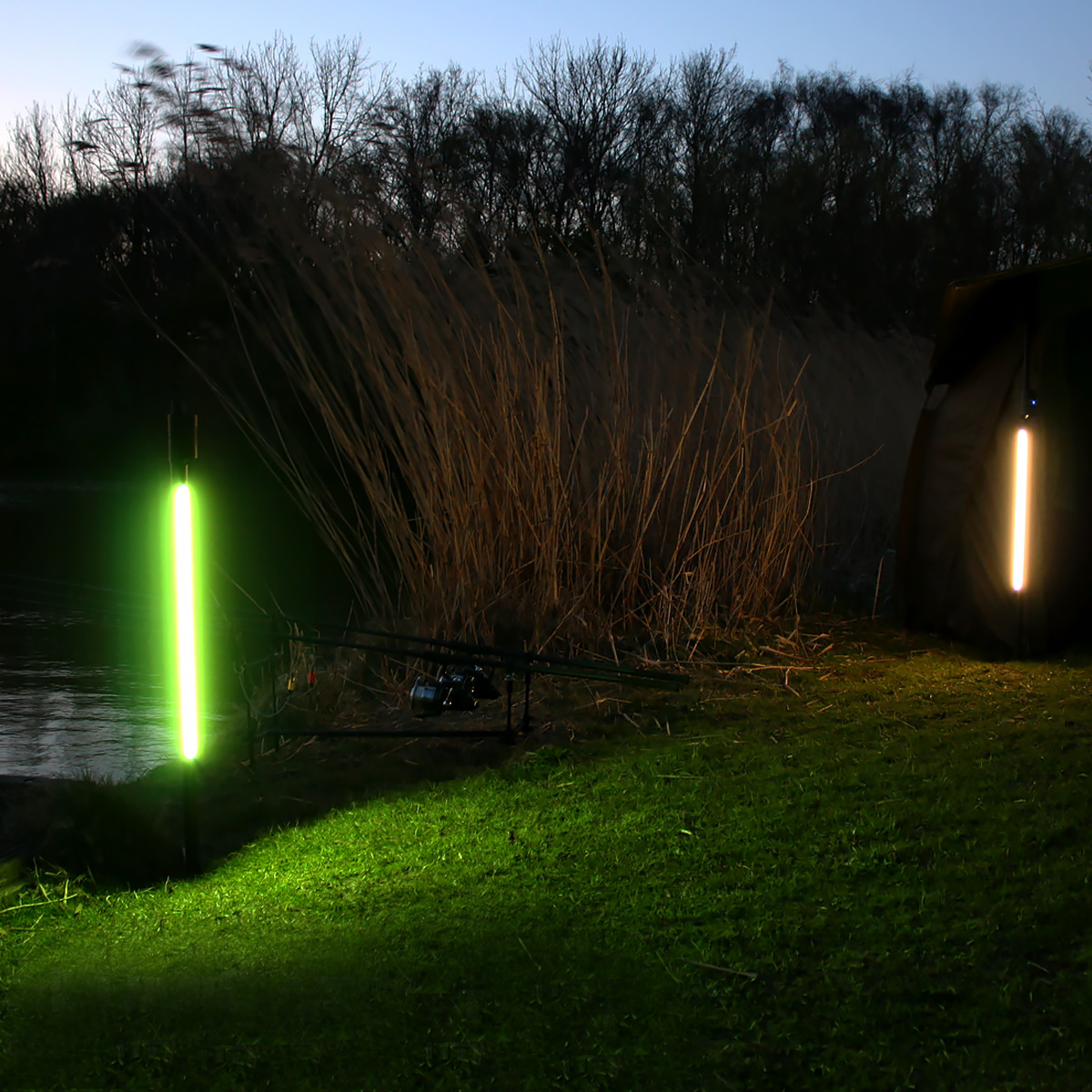 FishSense - LumiCatch Support BuzzOff